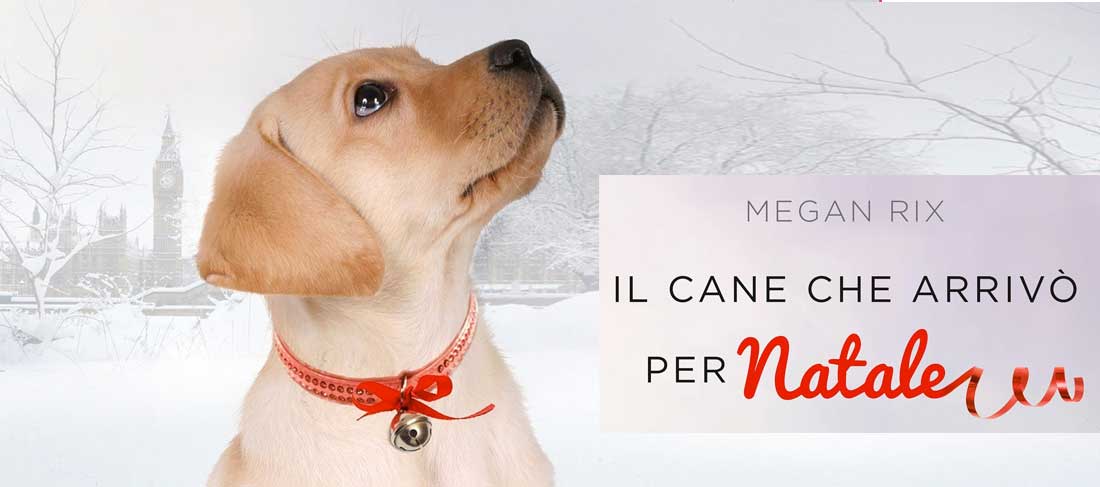 Il cane che arrivò per Natale