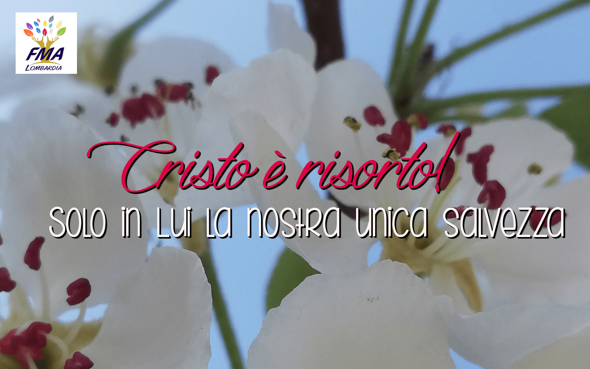 FMA-pasqua2020red